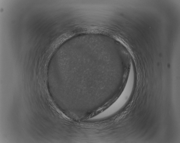 X0000082720673200702091813