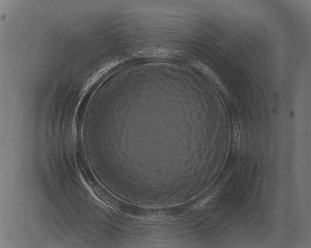 X0000082720674200702091813