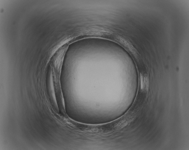 X0000082720675200702091813