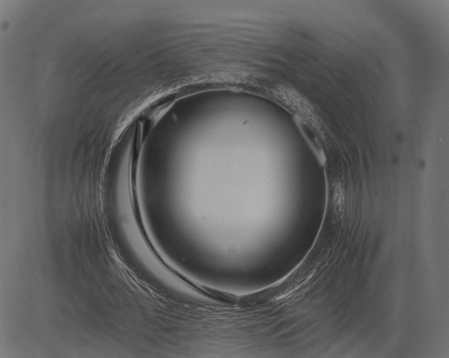 X0000082720676200702091813