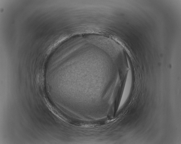 X0000082720677200702091813