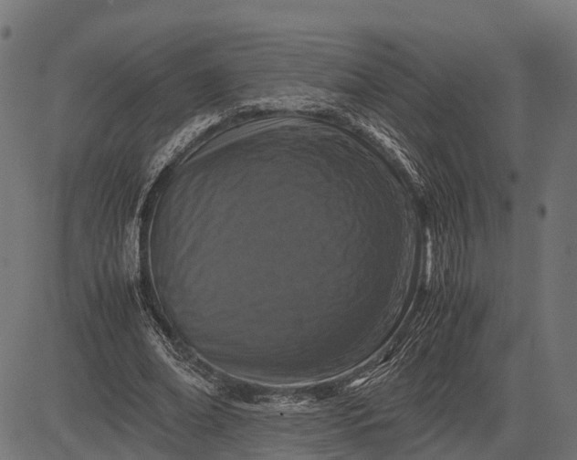 X0000082720678200702091813