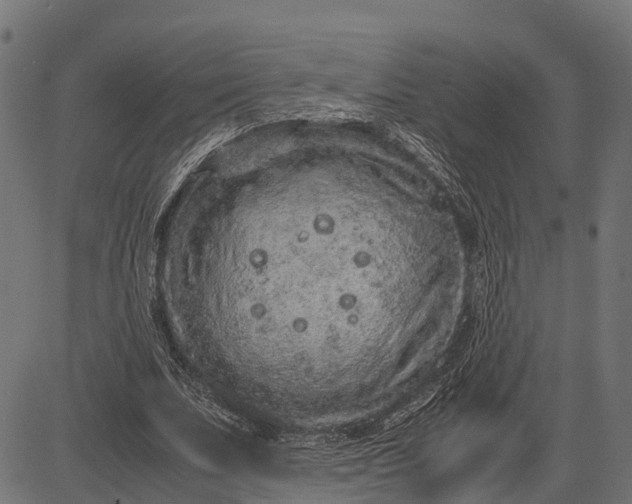 X0000082720679200702091813