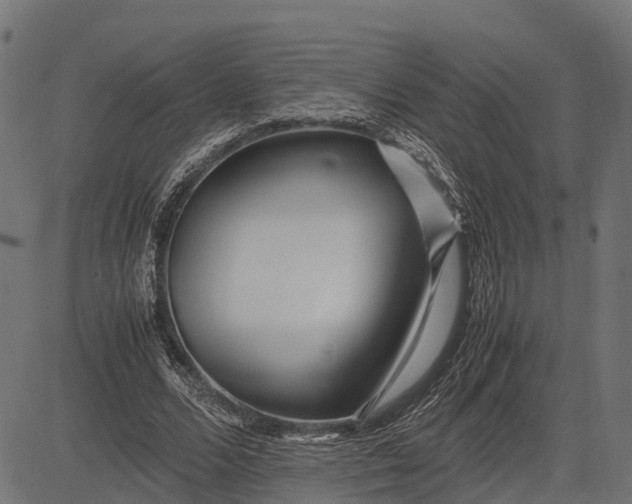 X0000082720680200702091813