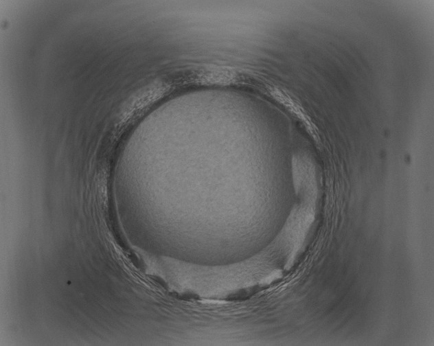 X0000082720681200702091813