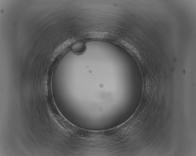 X0000082720682200702091813