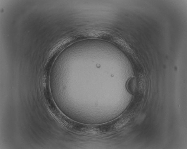 X0000082720683200702091813