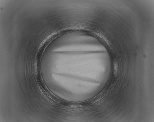 X0000082720684200702091813