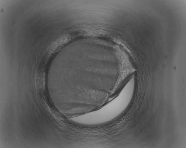 X0000082720685200702091813