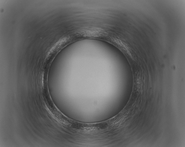 X0000082720686200702091813