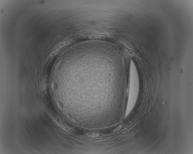 X0000082720687200702091813