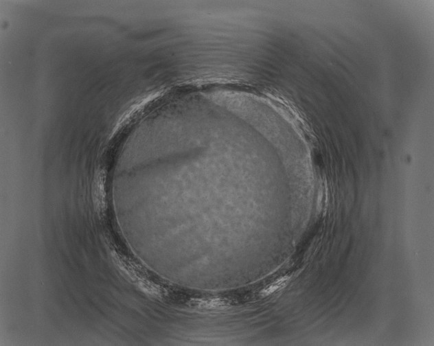 X0000082720688200702091813