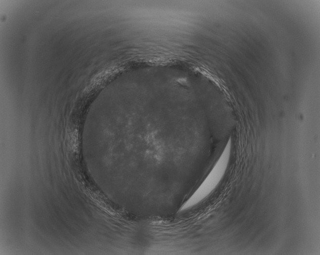 X0000082720689200702091813