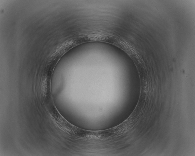 X0000082720690200702091813