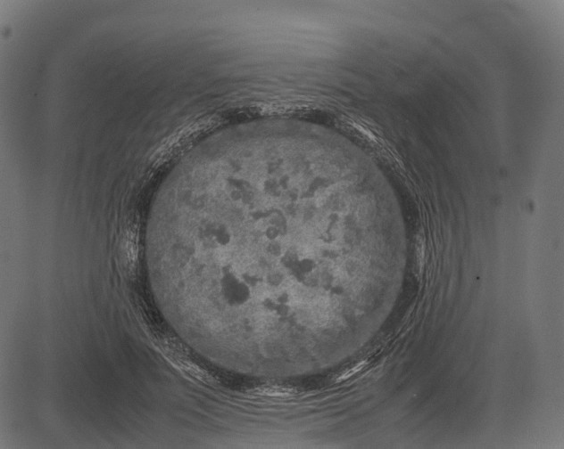 X0000082720691200702091813