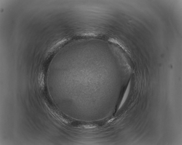 X0000082720692200702091813