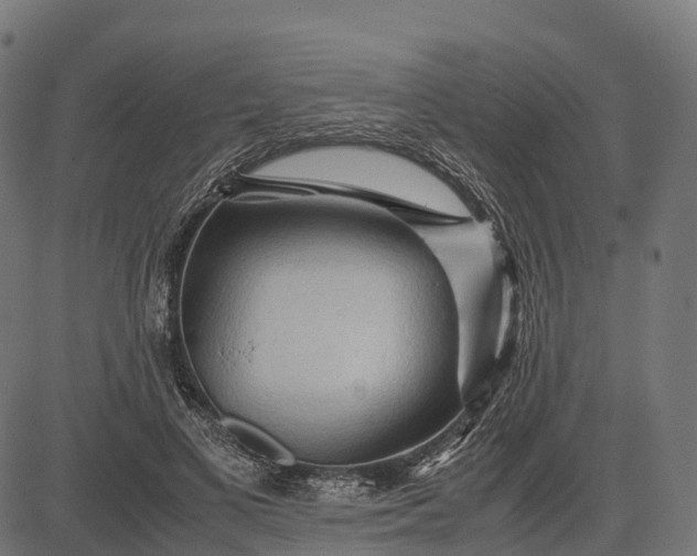 X0000082720693200702091813