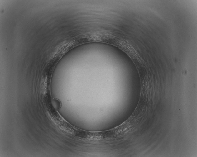 X0000082720694200702091813