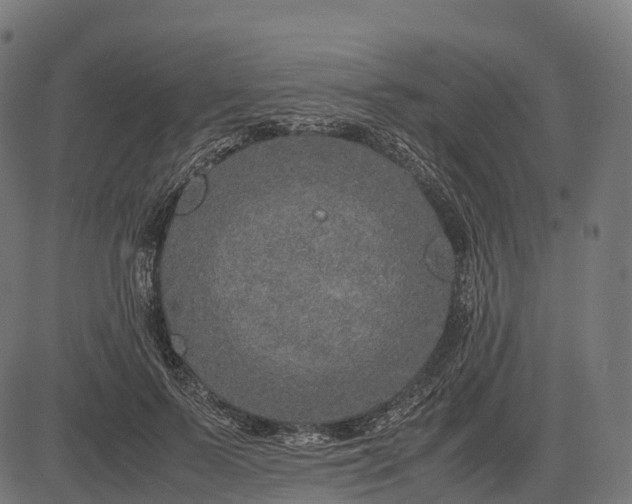 X0000082720695200702091813