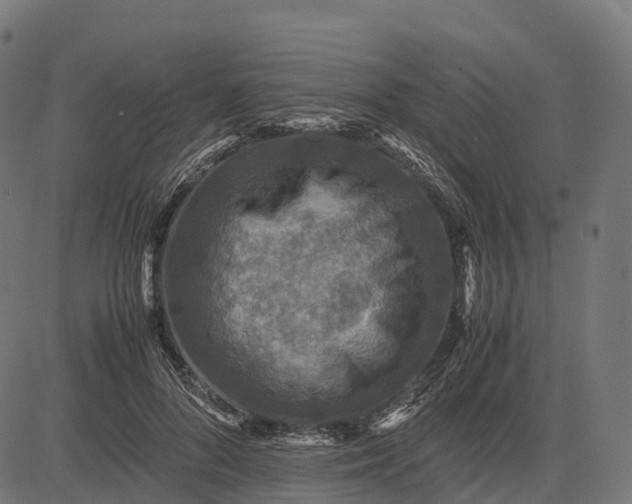 X0000082720696200702091813