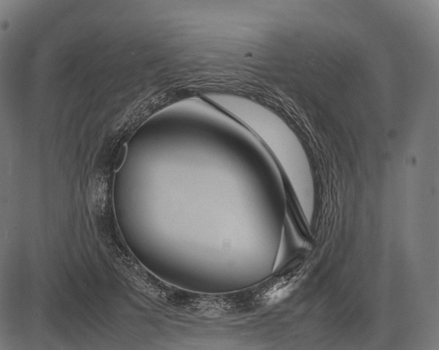 X0000082720697200702091813