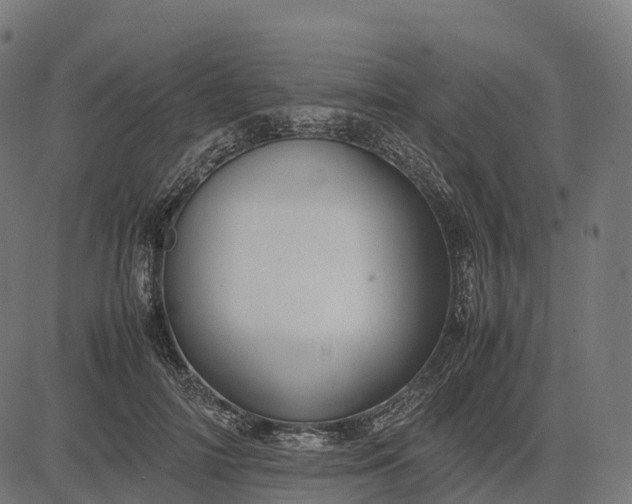 X0000082720698200702091813