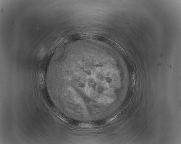 X0000082720699200702091813