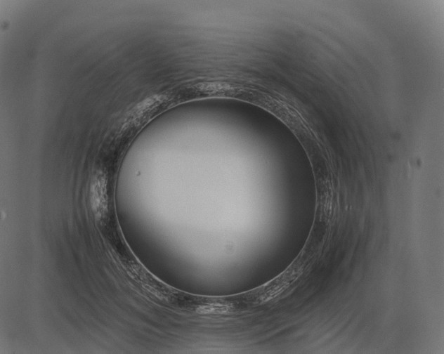 X0000082720700200702091813