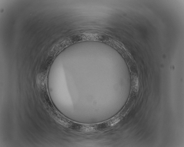 X0000082720701200702091813