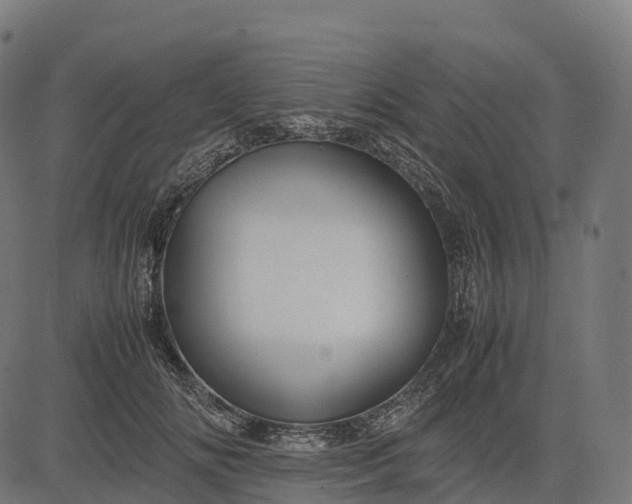 X0000082720702200702091813