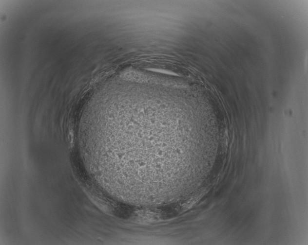 X0000082720703200702091813