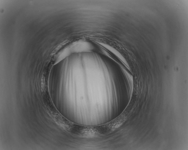 X0000082720704200702091813