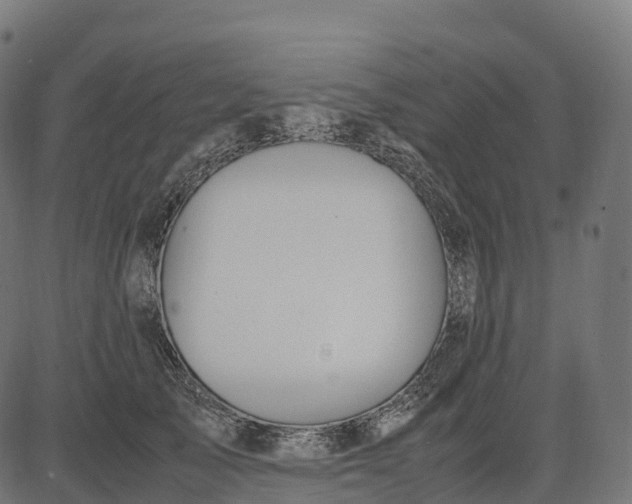 X0000082720705200702091813