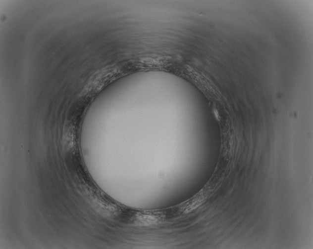 X0000082720706200702091813