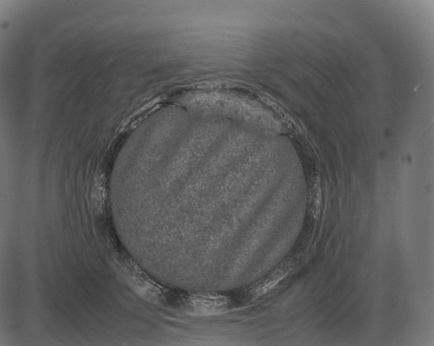 X0000082720707200702091813