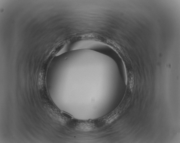 X0000082720708200702091813