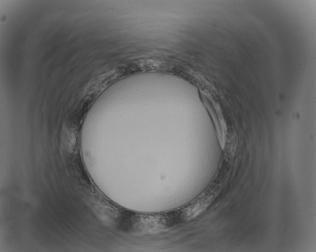 X0000082720709200702091813