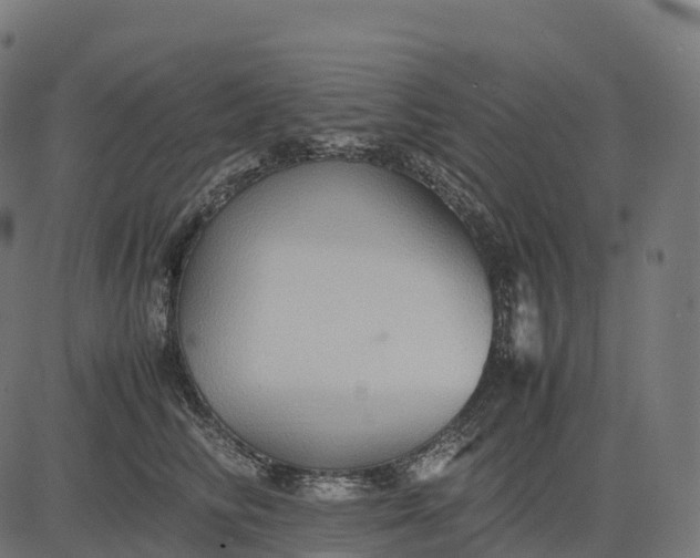 X0000082720710200702091813