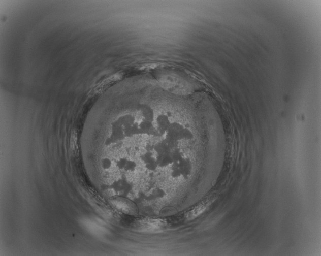 X0000082720711200702091813