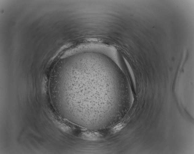 X0000082720712200702091813