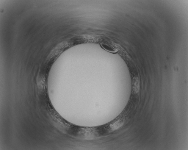 X0000082720713200702091813