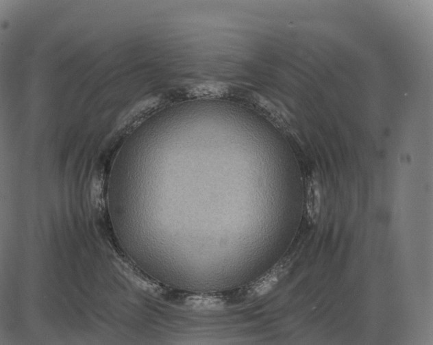 X0000082720714200702091813