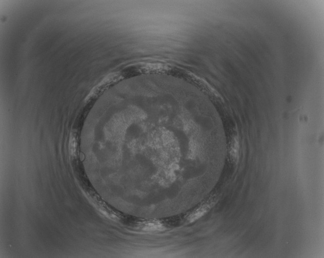 X0000082720715200702091813