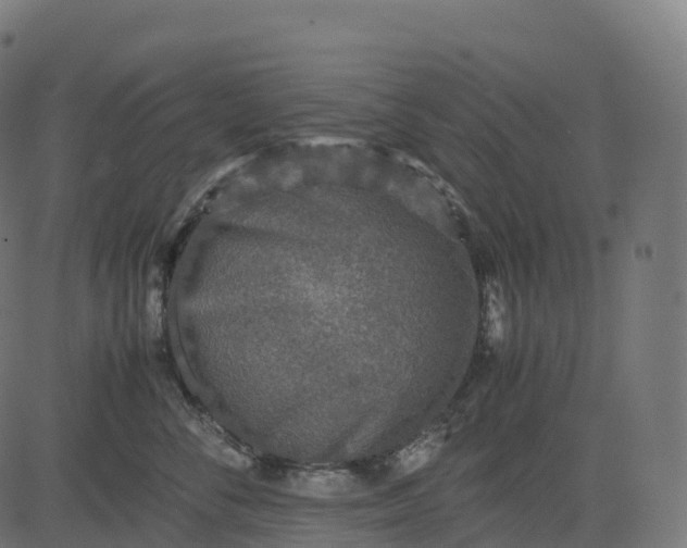 X0000082720716200702091813