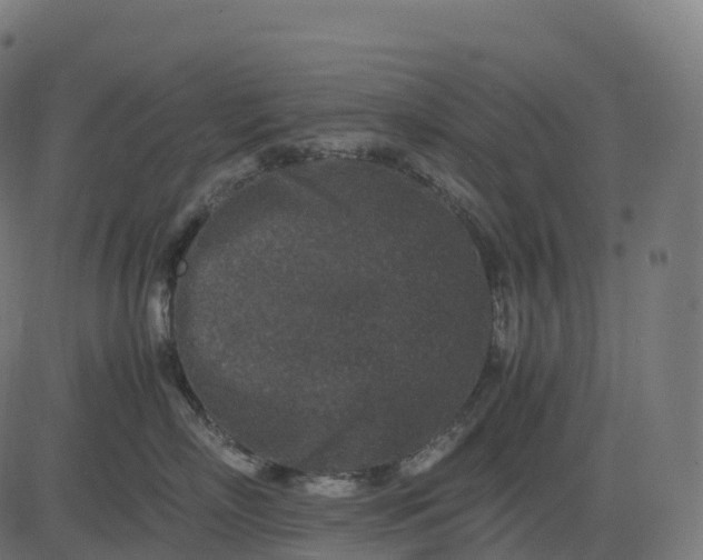 X0000082720718200702091812