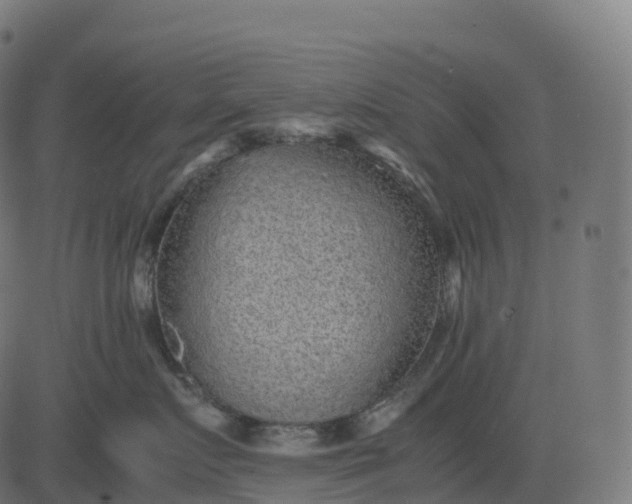 X0000082720719200702091812