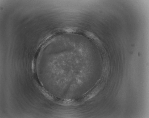 X0000082720720200702091812