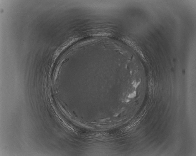 X0000082720721200702091812