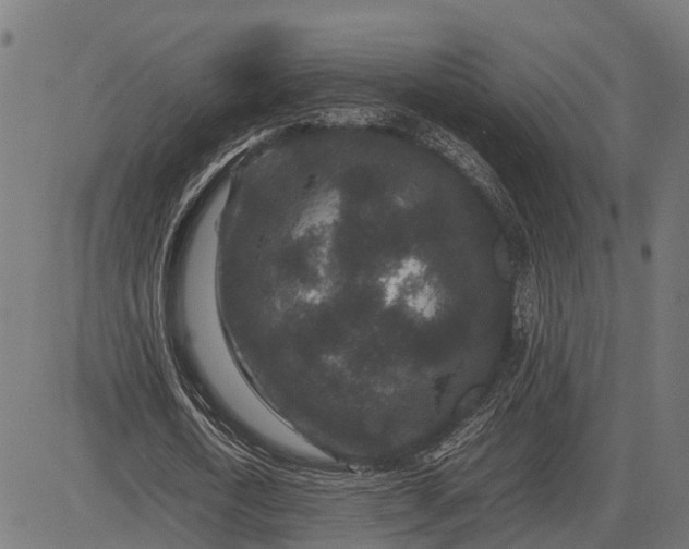 X0000082720722200702091812