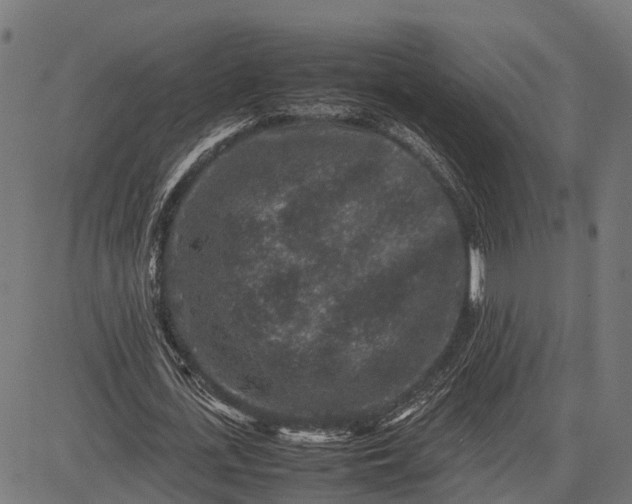 X0000082720723200702091812